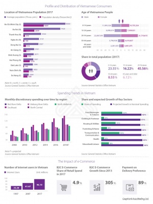 Consumer Profiles in Vietnam 