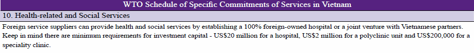 Comparing FOE and JV in Vietnam: Health-related and Social Services